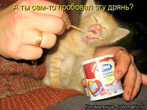 А ты сам-то пробовал эту дрянь?... Котоматрица: А ты сам-то пробовал эту дрянь?