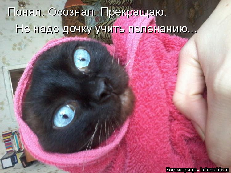Понял. Осознал. Прекращаю. Не надо дочку учить пеленанию...... Котоматрица: Понял. Осознал. Прекращаю. Не надо дочку учить пеленанию...