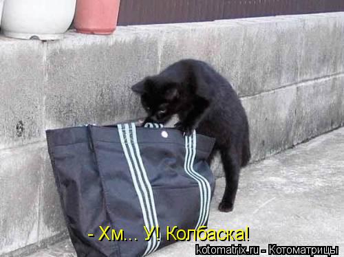 - Хм... У! Колбаска!... Котоматрица: - Хм... У! Колбаска!