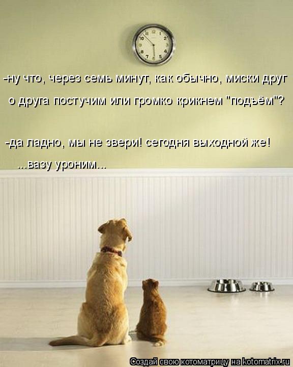 -ну что, через семь минут, как обычно, миски друг о друга постучим или громко крикнем "подъём"? -да ... Котоматрица: -ну что, через семь минут, как обычно, миски друг о друга постучим или громко крикнем "подъём"? -да ладно, мы не звери! сегодня выходной же! ...ва
