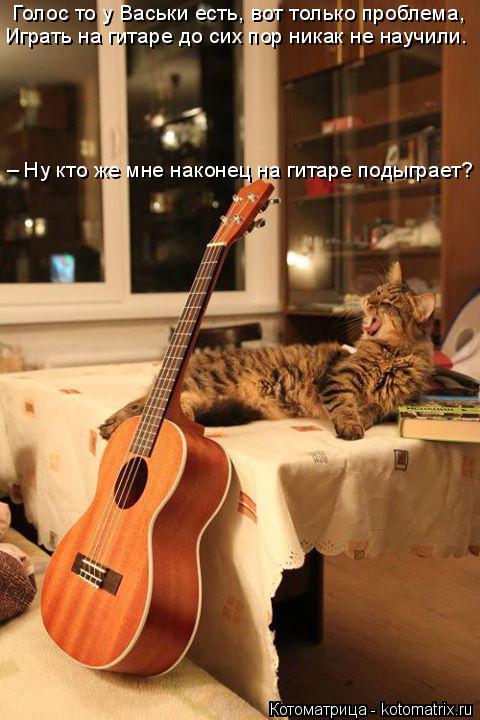 Голос то у Васьки есть, вот только проблема, Играть на гитаре до сих пор никак не научили. – Ну кто ... Котоматрица: Голос то у Васьки есть, вот только проблема, Играть на гитаре до сих пор никак не научили. – Ну кто же мне наконец на гитаре подыграет?