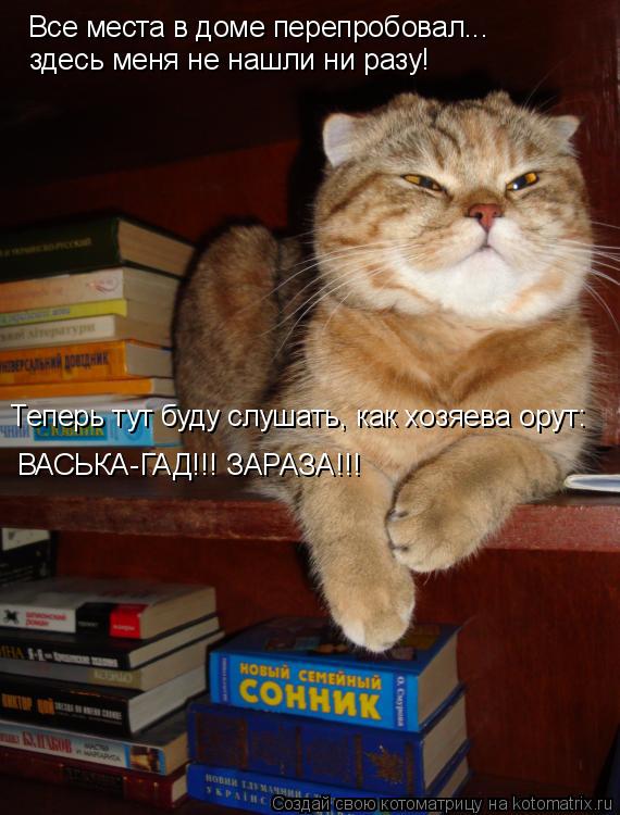 Все места в доме перепробовал... здесь меня не нашли ни разу! ВАСЬКА-ГАД!!! ЗАРАЗА!!! Теперь тут буду... Котоматрица: Все места в доме перепробовал... здесь меня не нашли ни разу! ВАСЬКА-ГАД!!! ЗАРАЗА!!! Теперь тут буду слушать, как хозяева орут: