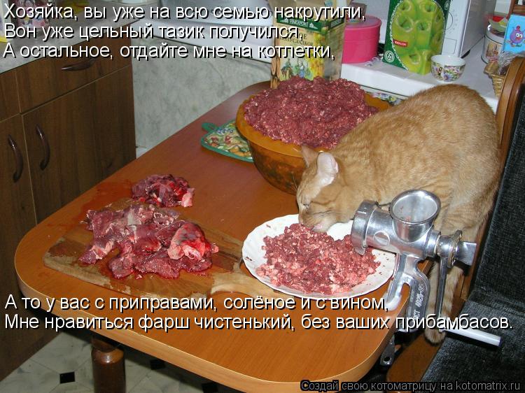 Хозяйка, вы уже на всю семью накрутили, Вон уже цельный тазик получился, А остальное, отдайте мне на ... Котоматрица: Хозяйка, вы уже на всю семью накрутили, Вон уже цельный тазик получился, А остальное, отдайте мне на котлетки, А то у вас с приправами, солёно