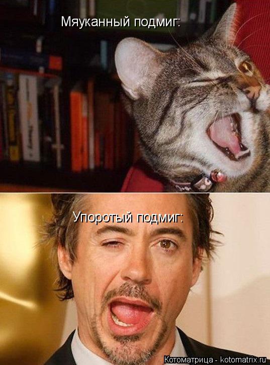 Мяуканный подмиг: Упоротый подмиг:... Котоматрица: Мяуканный подмиг: Упоротый подмиг: