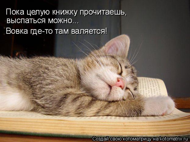Пока целую книжку прочитаешь, выспаться можно... Вовка где-то там валяется!... Котоматрица: Пока целую книжку прочитаешь, выспаться можно... Вовка где-то там валяется!