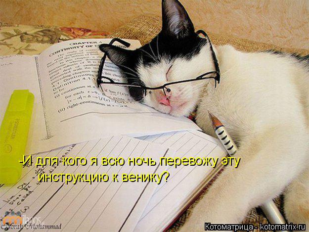 -И для кого я всю ночь перевожу эту инструкцию к венику?... Котоматрица: -И для кого я всю ночь перевожу эту инструкцию к венику?