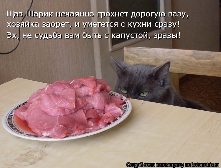 Щаз Шарик нечаянно грохнет дорогую вазу, хозяйка заорет, и уметется с кухни сразу! Эх, не судьба вам... Котоматрица: Щаз Шарик нечаянно грохнет дорогую вазу, хозяйка заорет, и уметется с кухни сразу! Эх, не судьба вам быть с капустой, зразы!