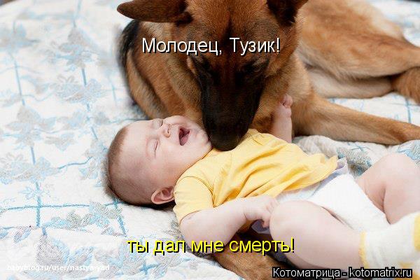 Котоматрица: Молодец, Тузик! ты дал мне смерть!