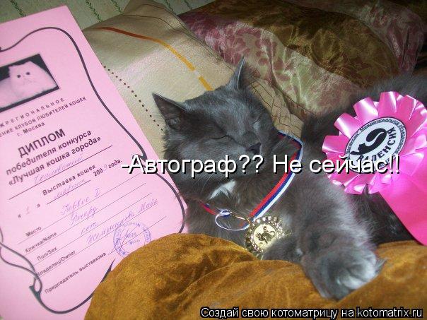 -Автограф?? Не сейчас!!... Котоматрица: -Автограф?? Не сейчас!!
