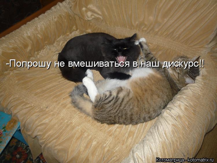 -Попрошу не вмешиваться в наш дискурс!!... Котоматрица: -Попрошу не вмешиваться в наш дискурс!!