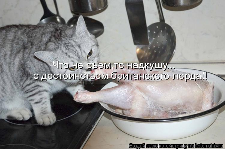 Что не съем,то надкушу... с достоинством британского лорда!!... Котоматрица: Что не съем,то надкушу... с достоинством британского лорда!!