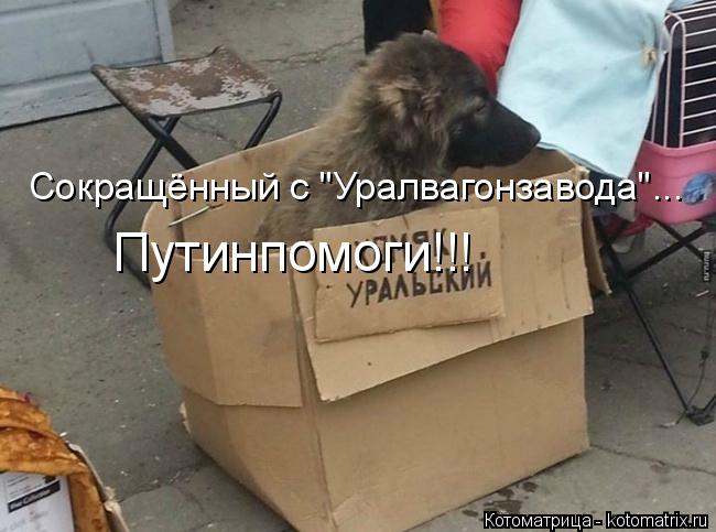 Сокращённый с "Уралвагонзавода"... Путинпомоги!!!... Котоматрица: Сокращённый с "Уралвагонзавода"... Путинпомоги!!!