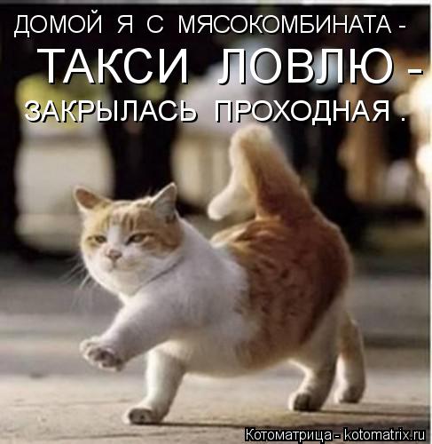ДОМОЙ Я С МЯСОКОМБИНАТА - ТАКСИ ЛОВЛЮ - ЗАКРЫЛАСЬ ПРОХОДНАЯ .... Котоматрица: ДОМОЙ Я С МЯСОКОМБИНАТА - ТАКСИ ЛОВЛЮ - ЗАКРЫЛАСЬ ПРОХОДНАЯ .