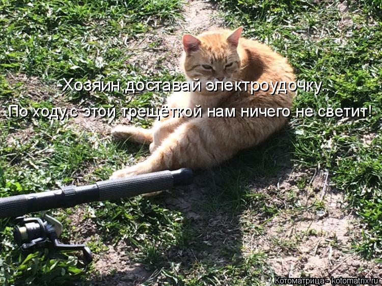 -Хозяин,доставай электроудочку.. По ходу,с этой трещёткой нам ничего не светит!... Котоматрица: -Хозяин,доставай электроудочку.. По ходу,с этой трещёткой нам ничего не светит!