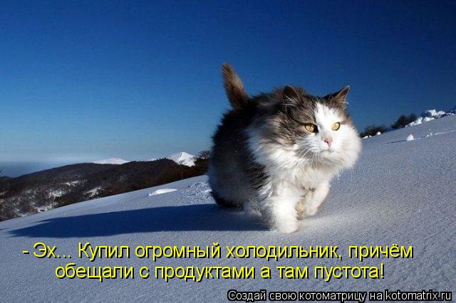 Котоматрица: - Эх... Купил огромный холодильник, причём  обещали с продуктами а там пустота!