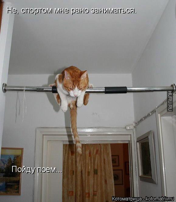 Не, спортом мне рано заниматься. Пойду поем...... Котоматрица: Не, спортом мне рано заниматься. Пойду поем...