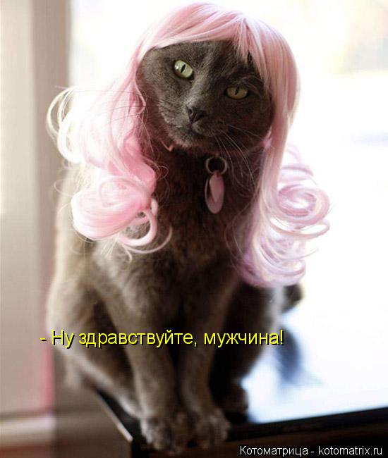 - Ну здравствуйте, мужчина!... Котоматрица: - Ну здравствуйте, мужчина!