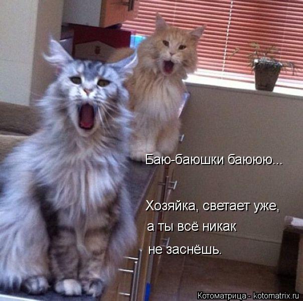 Баю-баюшки баююю... Хозяйка, светает уже, а ты всё никак не заснёшь.... Котоматрица: Баю-баюшки баююю... Хозяйка, светает уже, а ты всё никак не заснёшь.
