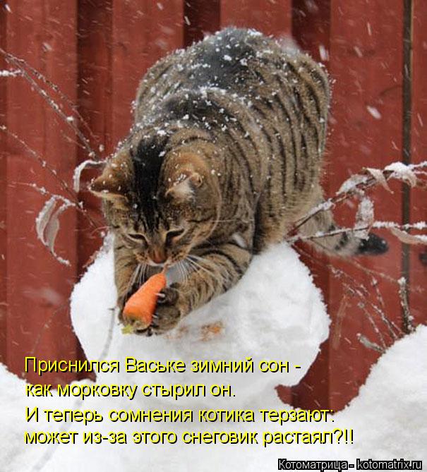 Приснился Ваське зимний сон - как морковку стырил он. И теперь сомнения котика терзают: может из-за э... Котоматрица: Приснился Ваське зимний сон - как морковку стырил он. И теперь сомнения котика терзают: может из-за этого снеговик растаял?!!