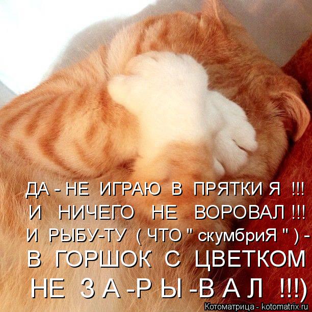 ДА - НЕ ИГРАЮ В ПРЯТКИ Я !!! И НИЧЕГО НЕ ВОРОВАЛ !!! И РЫБУ-ТУ ( ЧТО " скумбриЯ " ) - В ... Котоматрица: ДА - НЕ ИГРАЮ В ПРЯТКИ Я !!! И НИЧЕГО НЕ ВОРОВАЛ !!! И РЫБУ-ТУ ( ЧТО " скумбриЯ " ) - В ГОРШОК С ЦВЕТКОМ НЕ З А -Р Ы -В А Л !!!)