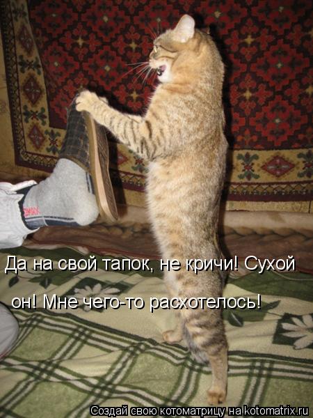 Котоматрица: Да на свой тапок, не кричи! Сухой он! Мне чего-то расхотелось!
