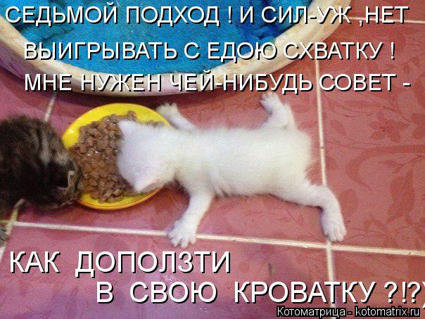 Котоматрица: СЕДЬМОЙ ПОДХОД ! И СИЛ-УЖ ,НЕТ МНЕ НУЖЕН ЧЕЙ-НИБУДЬ СОВЕТ - КАК  ДОПОЛЗТИ В  СВОЮ  КРОВАТКУ ?!?) ВЫИГРЫВАТЬ С ЕДОЮ СХВАТКУ !