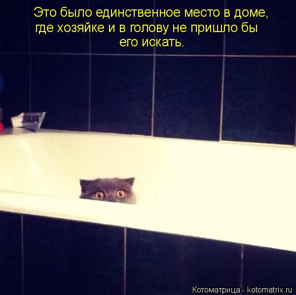 Это было единственное место в доме, где хозяйке и в голову не пришло бы его искать.... Котоматрица: Это было единственное место в доме, где хозяйке и в голову не пришло бы его искать.