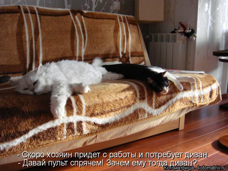 - Скоро хозяин придет с работы и потребует диван - Давай пульт спрячем! Зачем ему тогда диван?... Котоматрица: - Скоро хозяин придет с работы и потребует диван - Давай пульт спрячем! Зачем ему тогда диван?