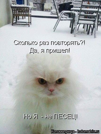 Сколько раз повторять?! Да, я пришел! Но Я - не ПЕСЕЦ!... Котоматрица: Сколько раз повторять?! Да, я пришел! Но Я - не ПЕСЕЦ!