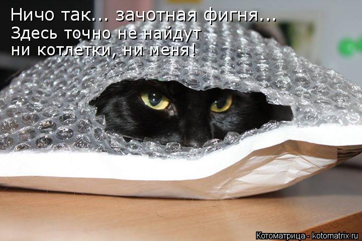 Ничо так... зачотная фигня... Здесь точно не найдут ни котлетки, ни меня!... Котоматрица: Ничо так... зачотная фигня... Здесь точно не найдут ни котлетки, ни меня!
