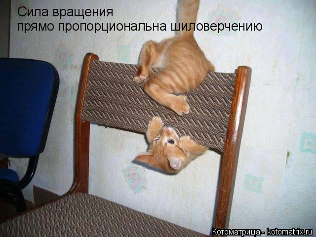 Сила вращения прямо пропорциональна шиловерчению... Котоматрица: Сила вращения прямо пропорциональна шиловерчению