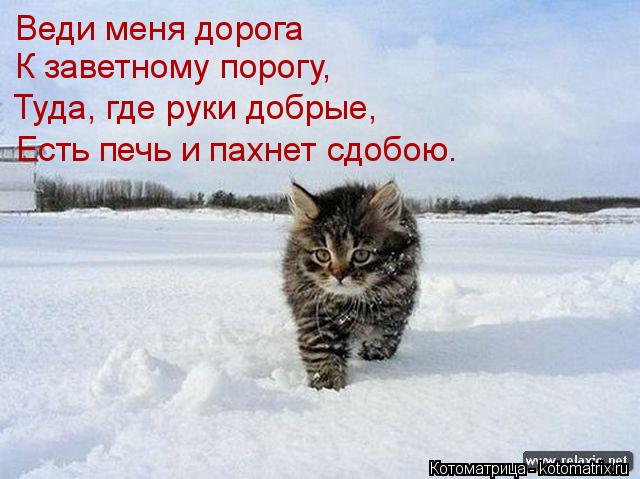 Веди меня дорога К заветному порогу, Туда, где руки добрые, Есть печь и пахнет сдобою.... Котоматрица: Веди меня дорога К заветному порогу, Туда, где руки добрые, Есть печь и пахнет сдобою.