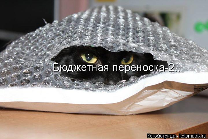 Бюджетная переноска-2..... Котоматрица: Бюджетная переноска-2..
