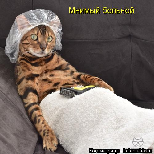 Мнимый больной... Котоматрица: Мнимый больной