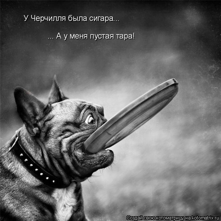 Котоматрица: У Черчилля была сигара... ... А у меня пустая тара!