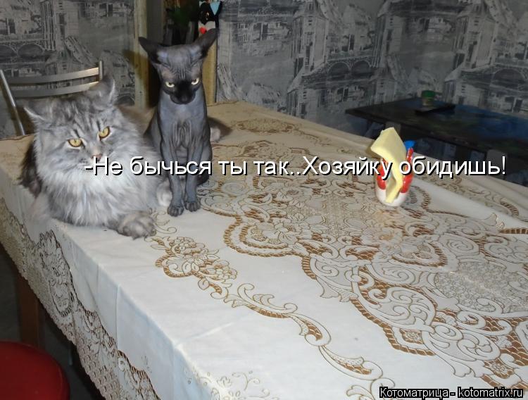 -Не бычься ты так..Хозяйку обидишь!... Котоматрица: -Не бычься ты так..Хозяйку обидишь!