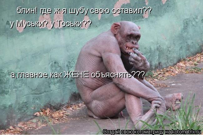 Котоматрица: блин! где ж я шубу свою оставил?? у Муськи? у Тоськи?? а,главное,как ЖЕНЕ объяснять???