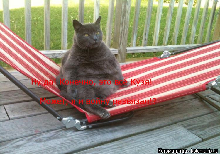 Ну да! Конечно, это всё Кузя! Может, я и войну развязал!?... Котоматрица: Ну да! Конечно, это всё Кузя! Может, я и войну развязал!?