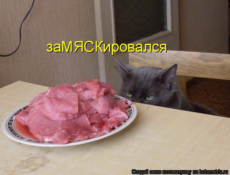 заМЯСКировался... Котоматрица: заМЯСКировался