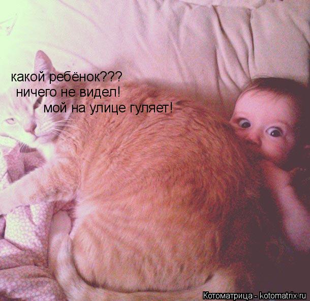 какой ребёнок??? ничего не видел! мой на улице гуляет!... Котоматрица: какой ребёнок??? ничего не видел! мой на улице гуляет!