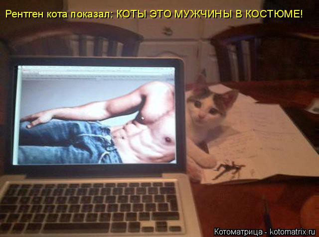 Рентген кота показал: КОТЫ ЭТО МУЖЧИНЫ В КОСТЮМЕ!... Котоматрица: Рентген кота показал: КОТЫ ЭТО МУЖЧИНЫ В КОСТЮМЕ!