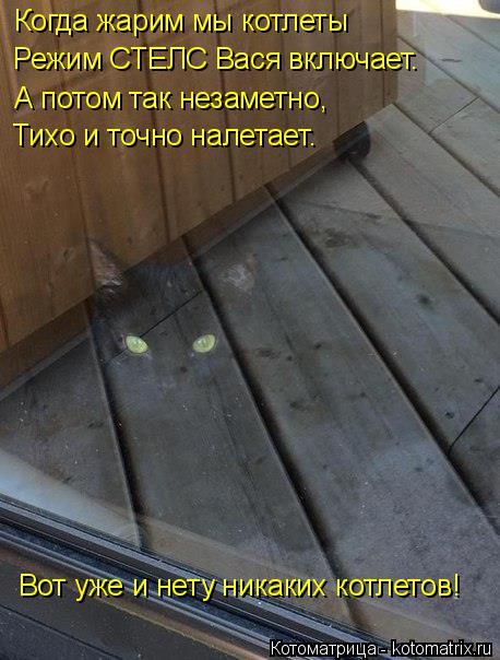 Когда жарим мы котлеты Режим СТЕЛС Вася включает. А потом так незаметно, Тихо и точно налетает. Вот у... Котоматрица: Когда жарим мы котлеты Режим СТЕЛС Вася включает. А потом так незаметно, Тихо и точно налетает. Вот уже и нету никаких котлетов!
