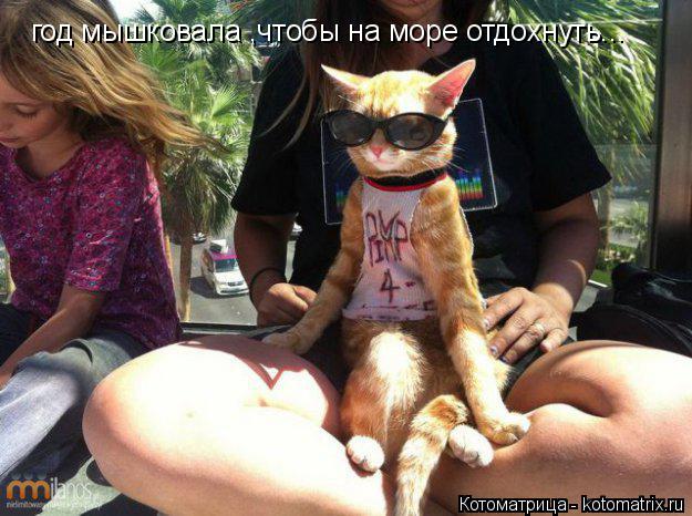 год мышковала ,чтобы на море отдохнуть...... Котоматрица: год мышковала ,чтобы на море отдохнуть...