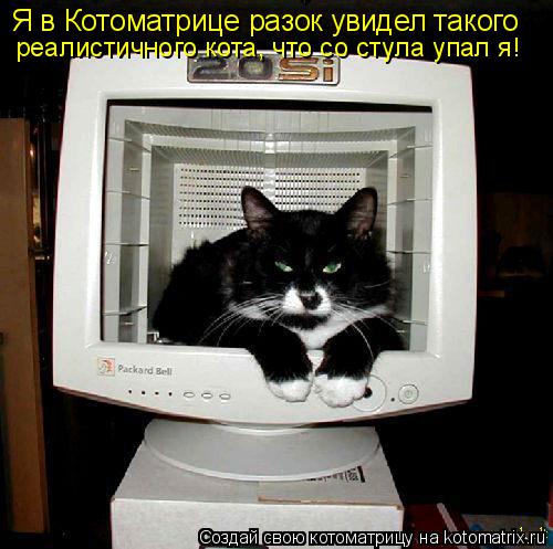 Я в Котоматрице разок увидел такого реалистичного кота, что со стула упал я!... Котоматрица: Я в Котоматрице разок увидел такого реалистичного кота, что со стула упал я!