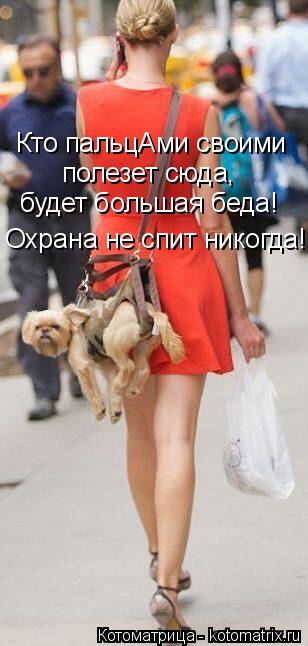 Кто пальцАми своими полезет сюда, будет большая беда! Охрана не спит никогда!... Котоматрица: Кто пальцАми своими полезет сюда, будет большая беда! Охрана не спит никогда!