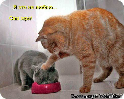Я это не люблю... Сам жри!... Котоматрица: Я это не люблю... Сам жри!