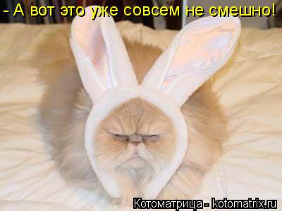 - А вот это уже совсем не смешно!... Котоматрица: - А вот это уже совсем не смешно!