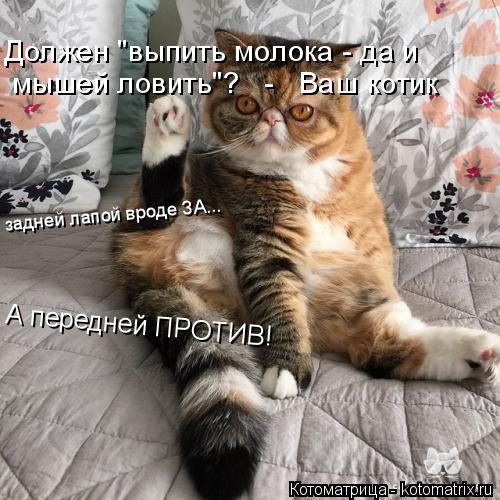 задней лапой вроде ЗА... А передней ПРОТИВ! Должен "выпить молока - да и мышей ловить"? - Ваш ко... Котоматрица: задней лапой вроде ЗА... А передней ПРОТИВ! Должен "выпить молока - да и мышей ловить"? - Ваш котик