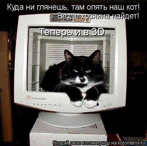 Куда ни глянешь, там опять наш кот! Везде хозяина найдет! Теперь и в 3D...... Котоматрица: Куда ни глянешь, там опять наш кот! Везде хозяина найдет! Теперь и в 3D...