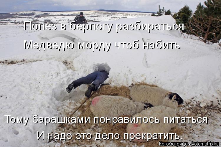 Полез в берлогу разбираться Медведю морду чтоб набить Тому барашками понравилось питаться И надо это ... Котоматрица: Полез в берлогу разбираться Медведю морду чтоб набить Тому барашками понравилось питаться И надо это дело прекратить.